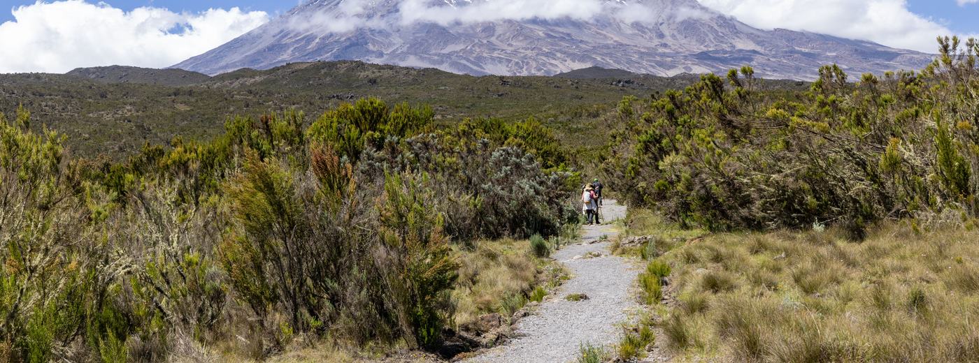 Moshi, Tanzania Travel Guide: Kilimanjaro's Basecamp Town