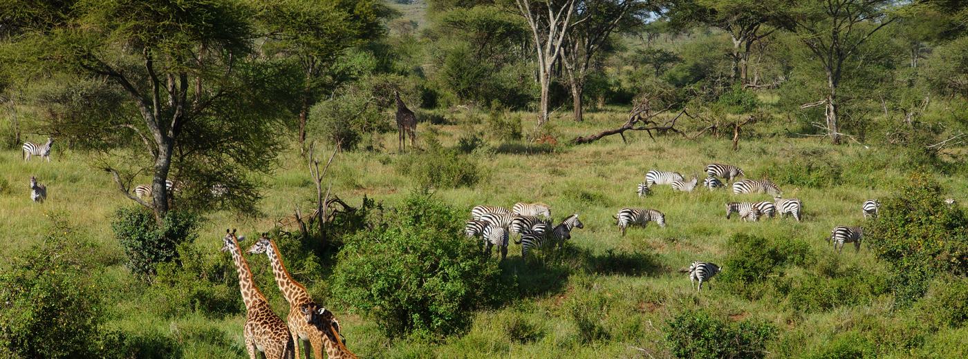 Mwanza, Tanzania: Rock City on Lake Victoria — Travel Guide