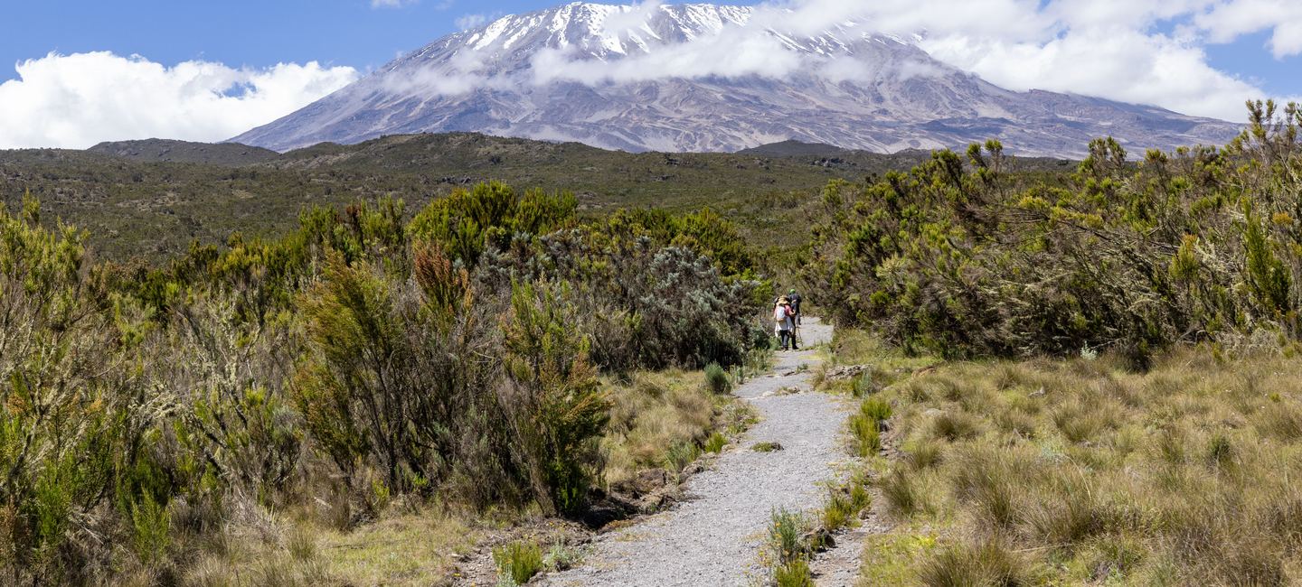Climb Kilimanjaro — 