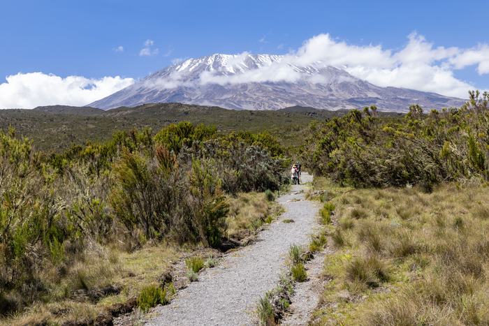 Climbing Mount Kilimanjaro